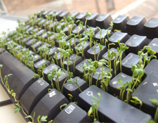 Office Pranks How Much Is Too Jobacle Office Pranks How Much Is Too