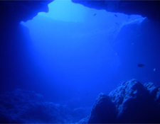 5 Cool Underwater Jobs