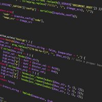 5 Top Custom Software Programming Languages